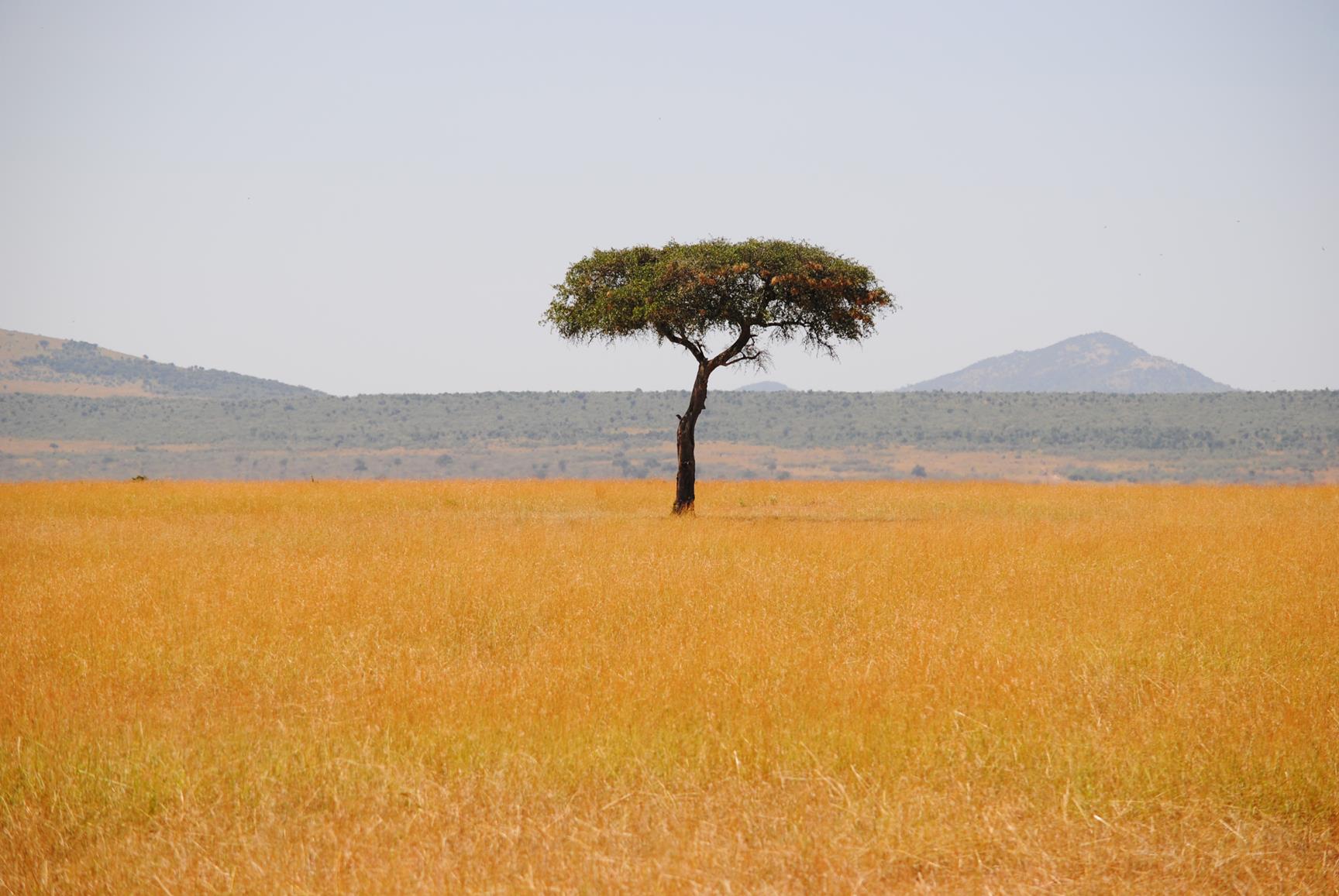 reserva-nacianal-masai-mara